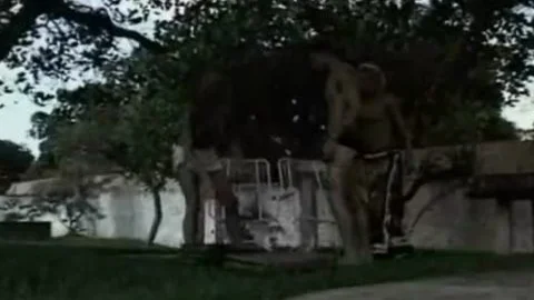 All Star ladymans  Cena 2