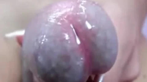 Blondie latina legal age teenager Large knob sex cream