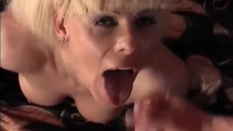 Scene three From tgirl Beauty Queens In underware three