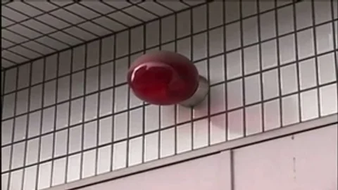 Futanari Hospital Part 1 Of 2